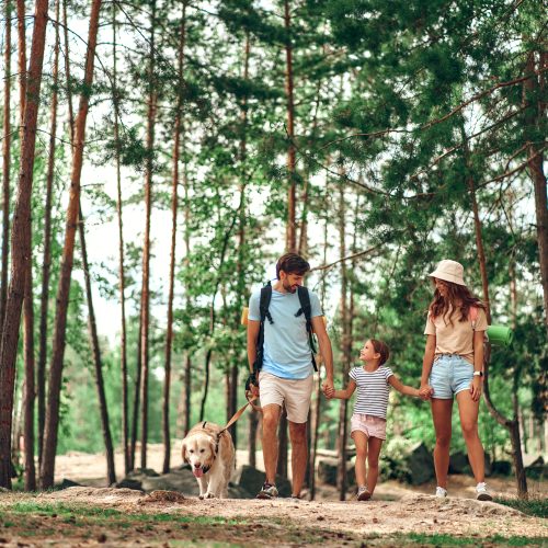 Happy family with backpacks and labrador dog walks in the forest. Camping, travel, hiking.